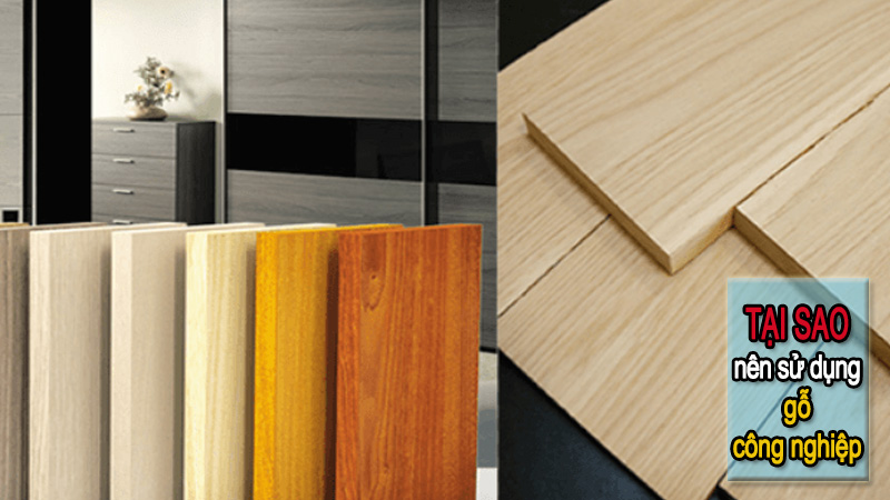 CÔNG TY TNHH MTV TÚY HOA